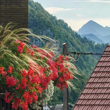 Apartma Bela Bohinjska Bela Esterno foto