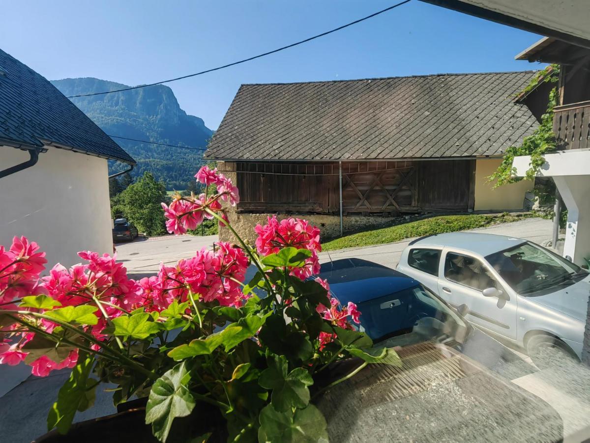 Apartma Bela Bohinjska Bela Esterno foto